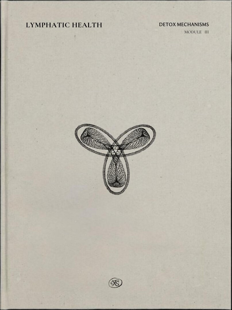 Cover of the Lymphatic Function guide